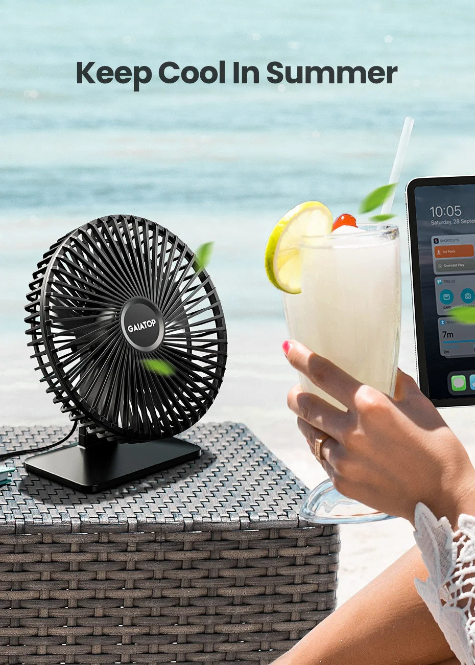 Ultra Quiet Desk Fan