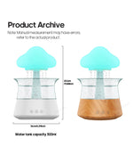 Rain Cloud Electric Air Humidifier