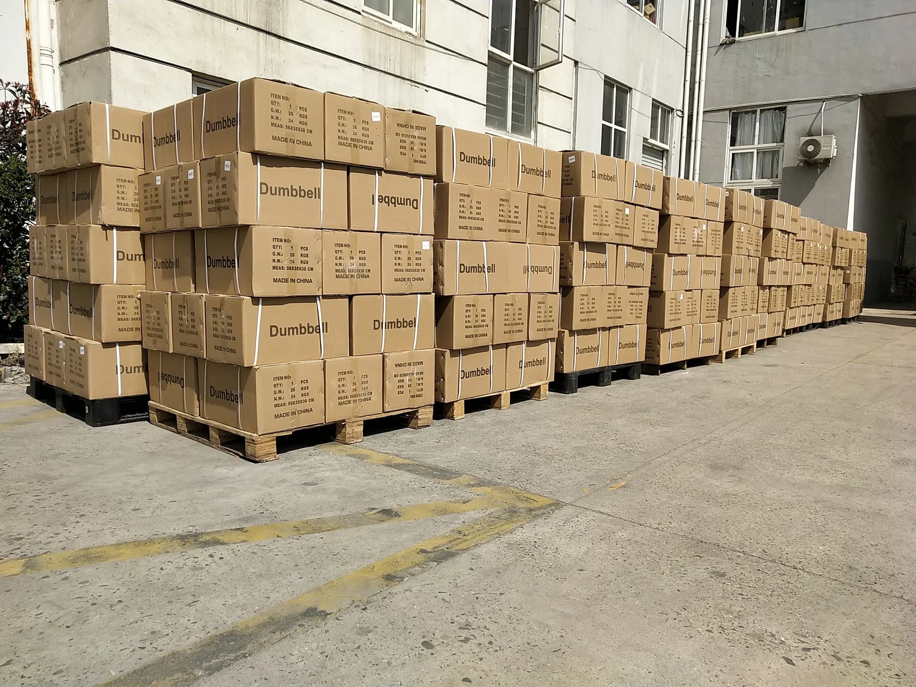 Adjustable Dumbbells Sets and Dumbbell Stand